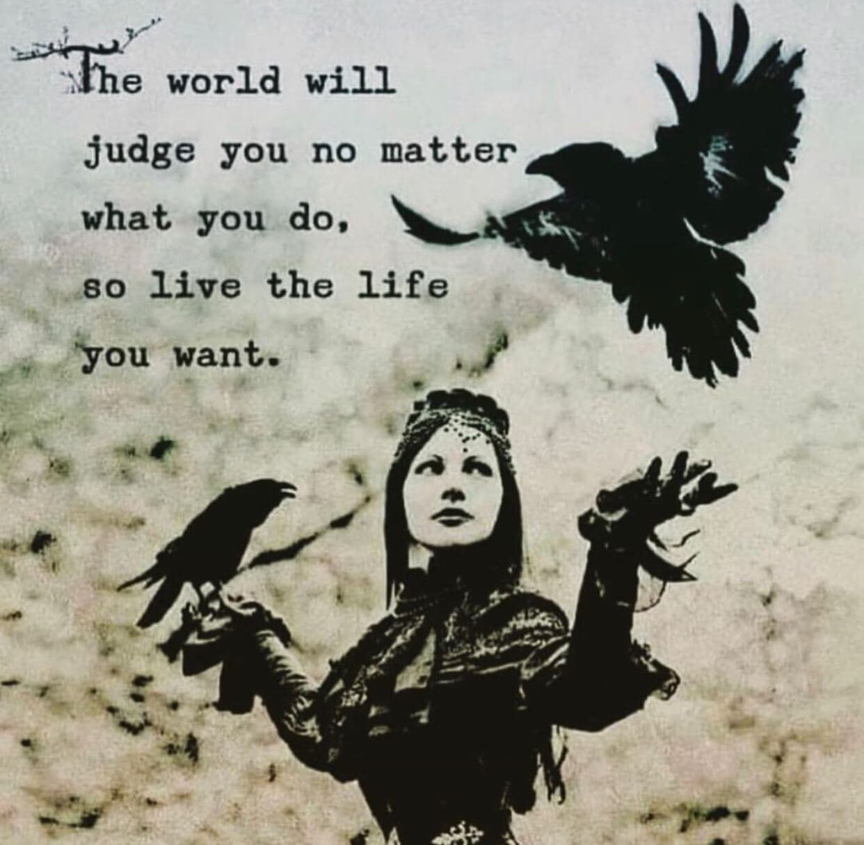 David Wolfe Telegram