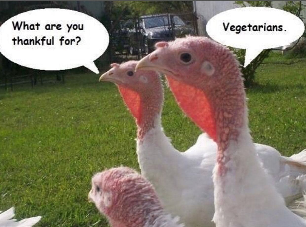 David Wolfe Telegram