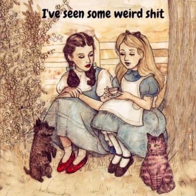 David Wolfe Telegram
