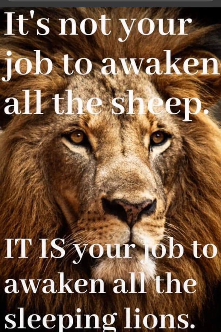 David Wolfe Telegram