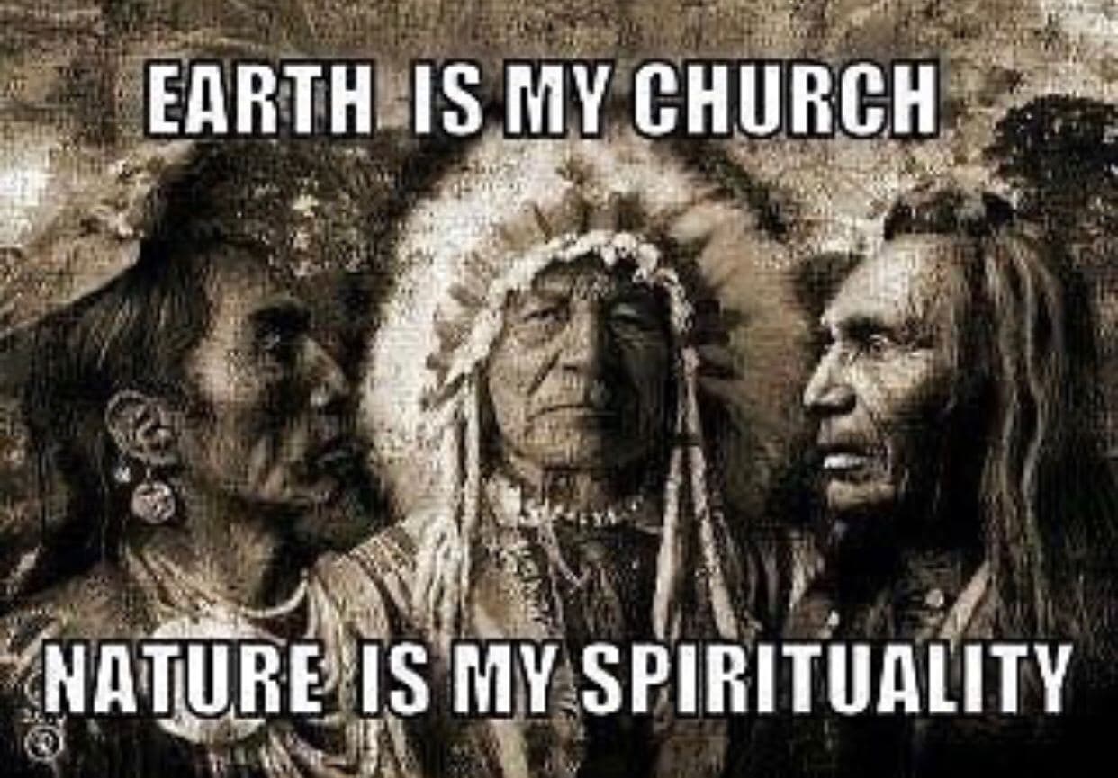 David Wolfe Telegram