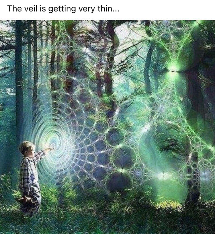 David Wolfe Telegram