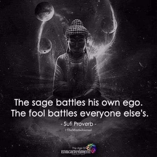 David Wolfe Telegram