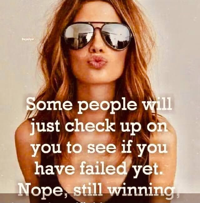 David Wolfe Telegram