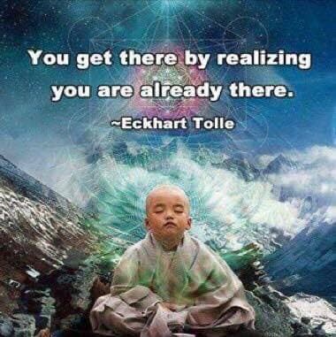 David Wolfe Telegram